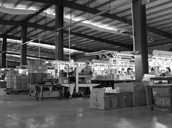 RAYTECH HOLDING LTD logo representing cooperative industrial customer